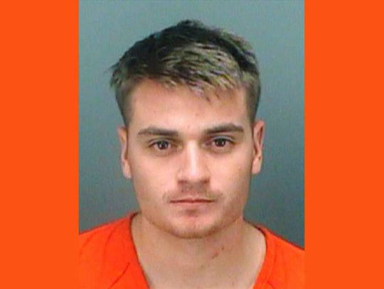 Neonazista uznany za winnego spisku w celu uszkodzenia obiektu energetycznego w Maryland