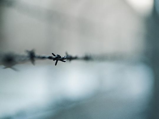 Nigdy nie zapomnimy? / Never Forget?