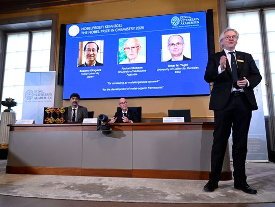 Nobel z chemii za „dziurawe kryształy”