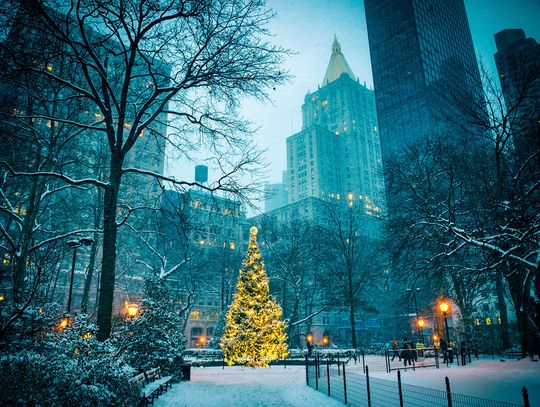 Nowy Jork: Między choinką za 600 dolarów a rachunkiem 1000 dolarów za ogrzewanie