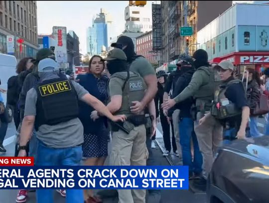 Obława na sprzedawców ulicznych wywołała falę protestów w Nowym Jorku (WIDEO)
