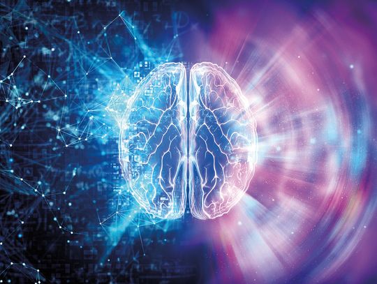 Ostatni rozbłysk świadomości