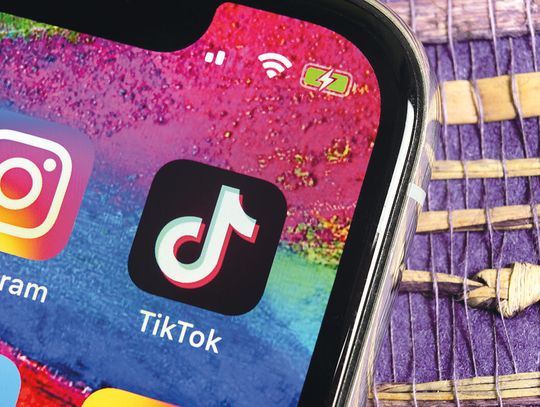 Oszustwa na TikToku: fałszywe zbiórki na schroniska dla zwierząt