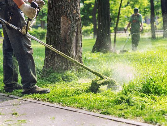 Oszustwa przy pracach w ogrodzie i przy trawniku