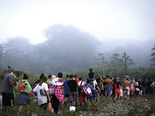 Panama. Pół miliona migrantów usiłowało w br. przedostać się przez dżunglę Darien na granicy Panamy i Kolumbii, aby dotrzeć do Stanów Zjednoczonych