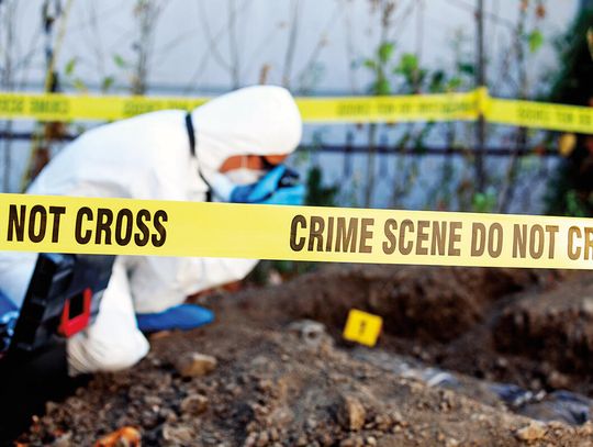 Piekło pod trawnikiem