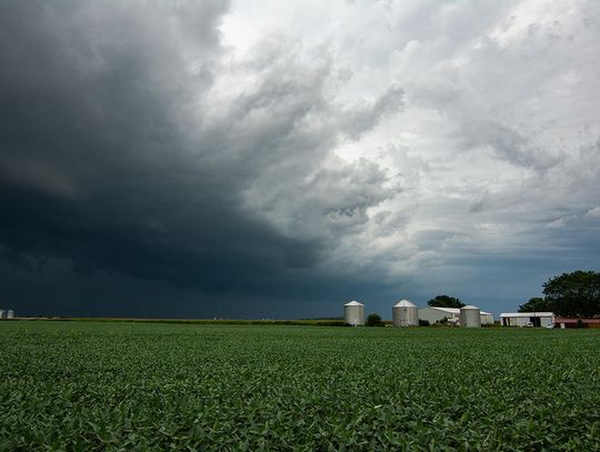 Pierwsze derecho od 6 lat przeszło przez okolice Chicago, potwierdzono tornada