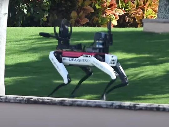 Pies robot patroluje posiadłość Trumpa na Florydzie (WIDEO)