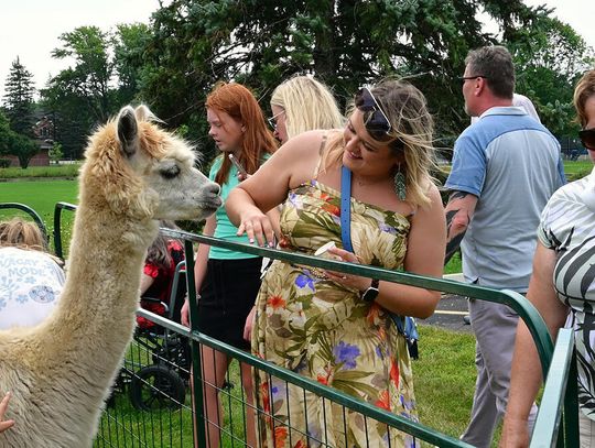Piknik w parafii Świętych Tomasza Becketa i Alfonsa Liguori