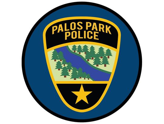 Policja z Palos Park ostrzega przed „sekstorcją” nastolatków