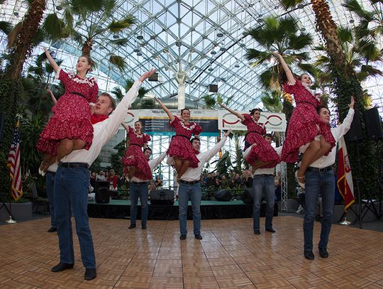 Polska sztuka, folklor i pierogi na Navy Pier