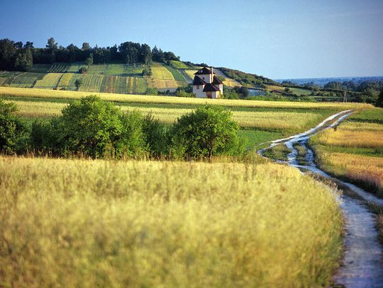 Polska zwyczajność