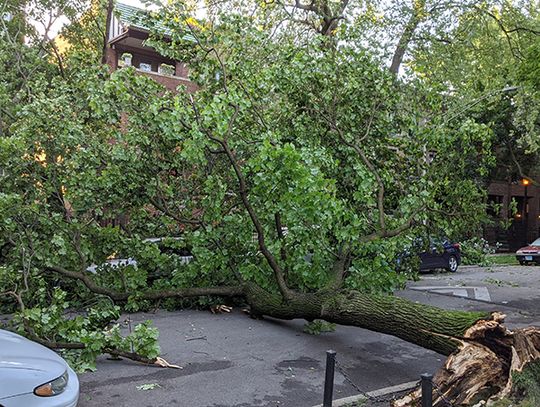 Potężne derecho i potwierdzone tornado w Chicago