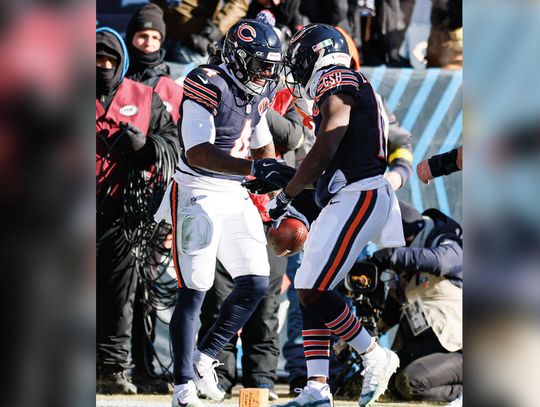 Powrót Bears na zwycięską ścieżkę Powrót Bears na zwycięską ścieżkę