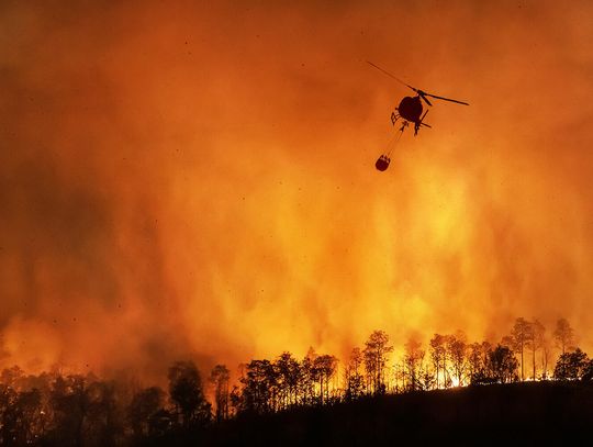 Pożar spustoszył ponad 1200 hektarów w stanie Kalifornia