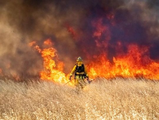 Pożary trawią tysiące hektarów w Georgii i na Florydzie
