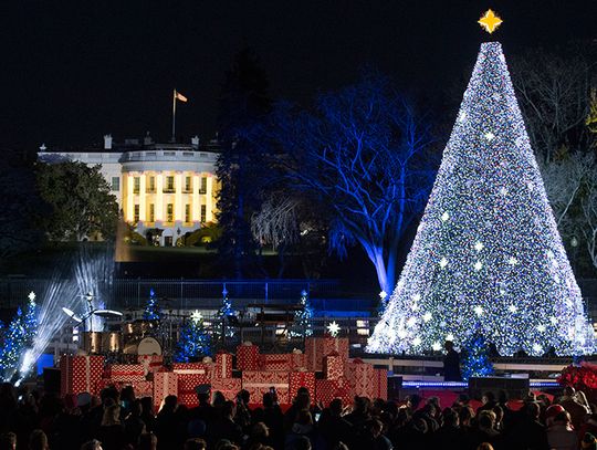 Prezydent Obama zapalił lampki na drzewku świątecznym (ZDJĘCIA, WIDEO)