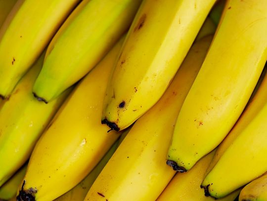 Producent bananów Chiquita musi zapłacić 38 mln dolarów odszkodowania za wspieranie paramilitarnej grupy w Kolumbii