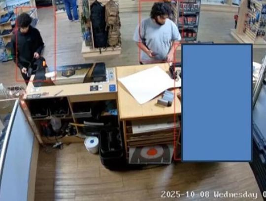 Prokuratura postawiła zarzuty ws. potencjalnego zamachu podczas Halloween pod Detroit