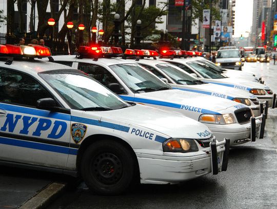 Propalestyński aktywista z Nowego Jorku przyznał się do zniszczenia policyjnego mienia o wartości 800 tys. dolarów