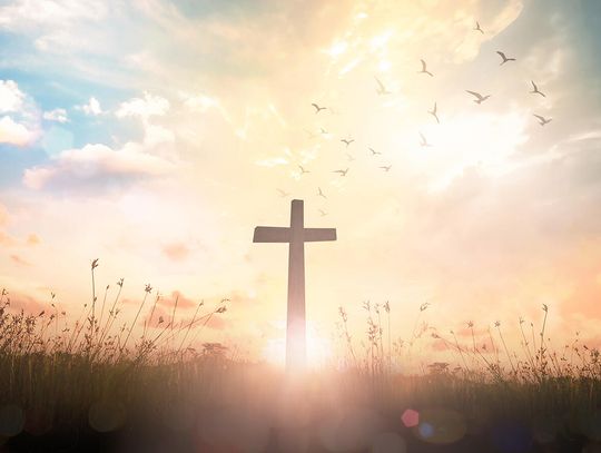 Przesłanie na Wielkanoc koordynatorów ds. Polonii w Archidiecezji Chicagowskiej Przesłanie na Wielkanoc koordynatorów ds. Polonii w Archidiecezji Chicagowskiej