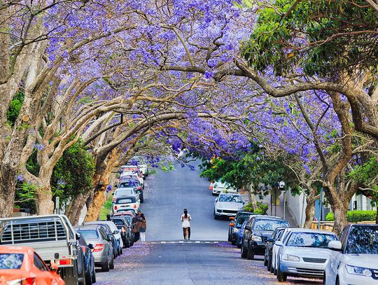 Rodzinność – TAK!