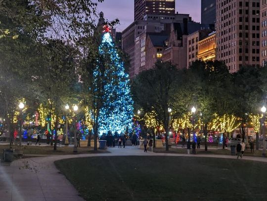 Ruszył konkurs na oficjalną chicagowską choinkę