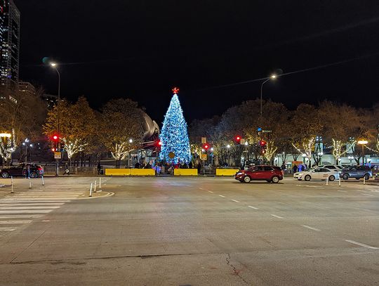 Ruszyły poszukiwania oficjalnej chicagowskiej choinki