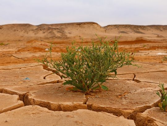 "Science": Większość polityk klimatycznych jest mało skuteczna