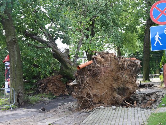 Śląskie. Służby kryzysowe wojewody: 59 zerwanych dachów, 60 – uszkodzonych