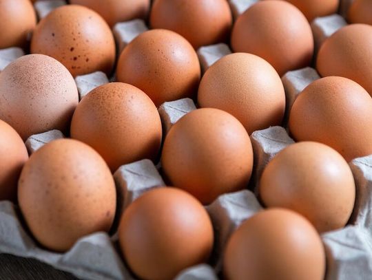 Spadek cen jajek: ulga dla klientów, problem dla farmerów