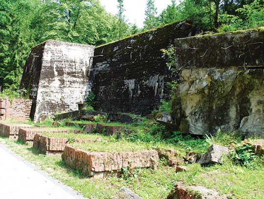 Szkielety pod Wilczym Szańcem