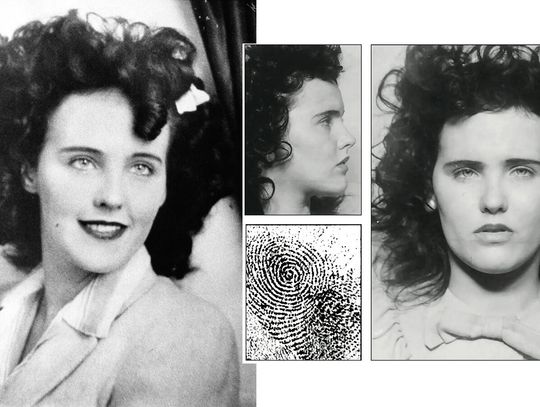 Tajemnica Czarnej Dalii