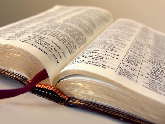 Teksas: Biblia jako lektura obowiązkowa w szkołach publicznych