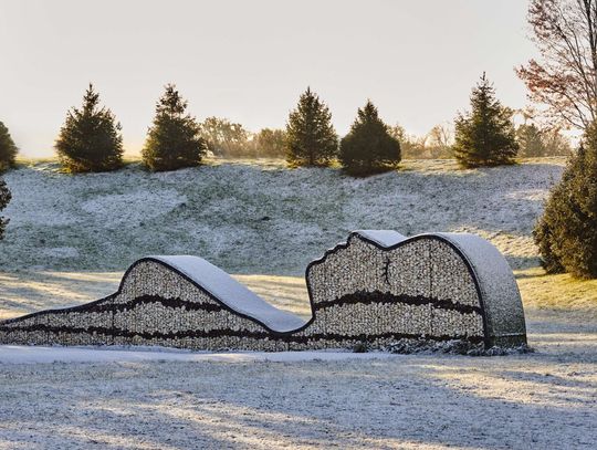 The Morton Arboretum is open and free on Christmas Day