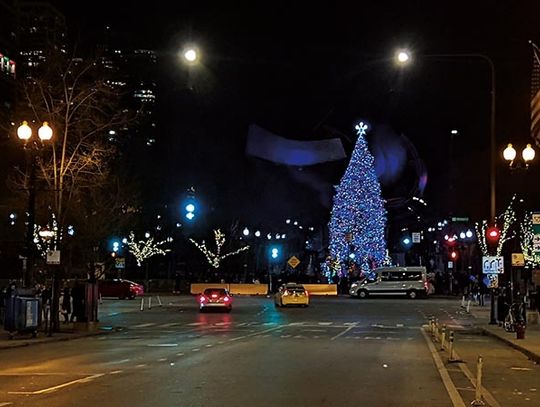 Trwają poszukiwania oficjalnej chicagowskiej choinki