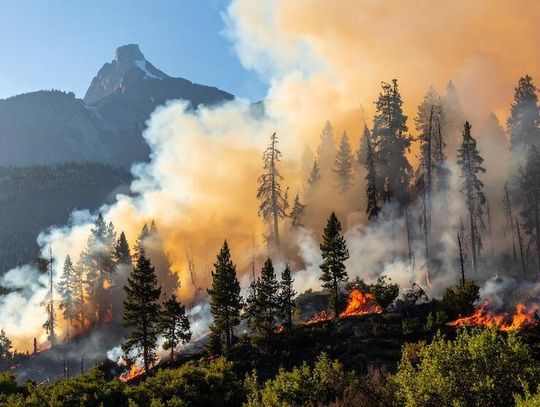 Trzech strażaków zginęło podczas gaszenia pożarów na granicy Kolorado i Utah