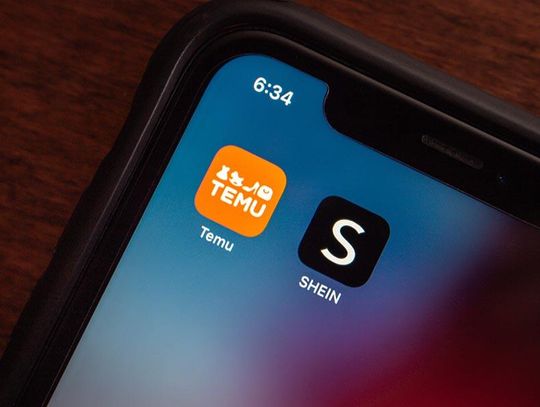 UE. Sześć państw, w tym Polska, domaga się działań wobec platform Temu i Shein