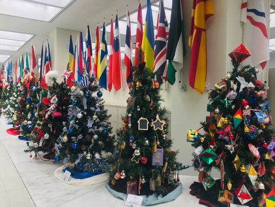 Visitors invited to see Christmas trees from around the world brighten office of County Treasurer Pappas for 20th year