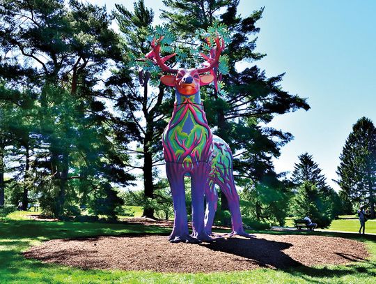 „Vivid Creatures” – plenerowa ekspozycja w Morton Arboretum