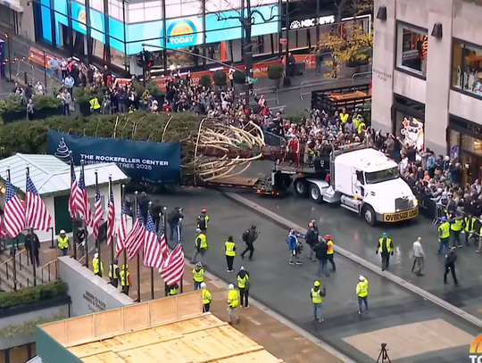 W Rockefeller Center stanęła choinka zwiastująca świąteczny sezon w Nowym Jorku (WIDEO)