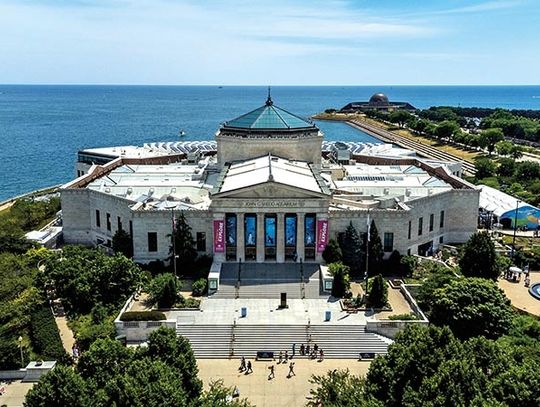 We wrześniu bezpłatne dni w Shedd Aquarium