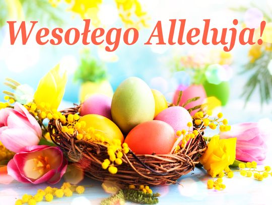 Wesołych Świąt! Happy Easter!