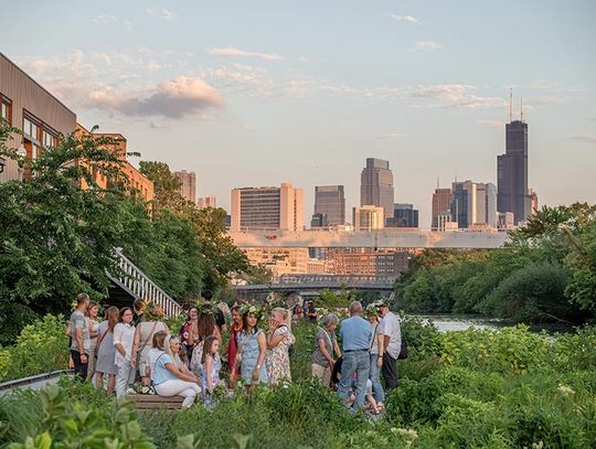 Wianki popłynęły po rzece Chicago