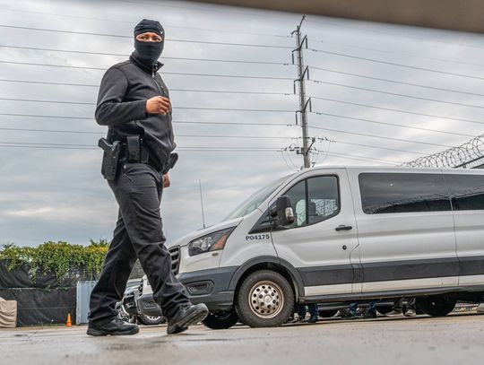 Więcej polskich nazwisk wśród zatrzymanych przez ICE i CBP w rejonie Chicago