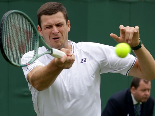 Wimbledon - Hurkacz awansował do drugiej rundy