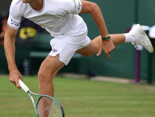 Wimbledon - Hurkacz zrezygnował z występu