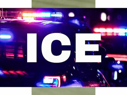 Władze: 200 imigrantów aresztowano podczas obław ICE na terenie farm w Kalifornii
