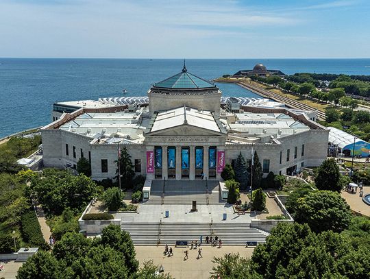 Wracają darmowe dni w Shedd Aquarium