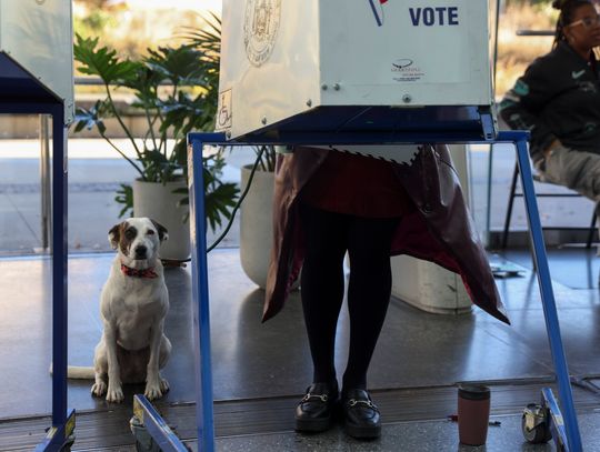 Wybory, czyli prawo wahadła